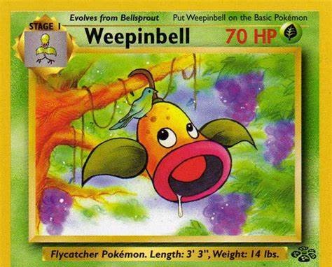 Weepinbell with a Bird